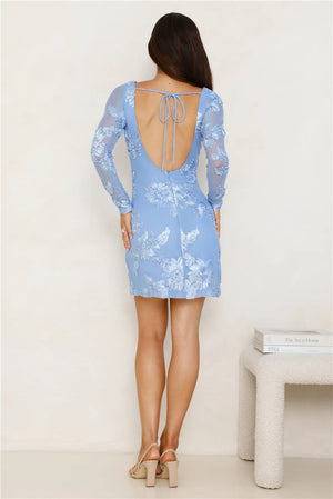 Nicolette Long Sleeve Mesh Mini Dress